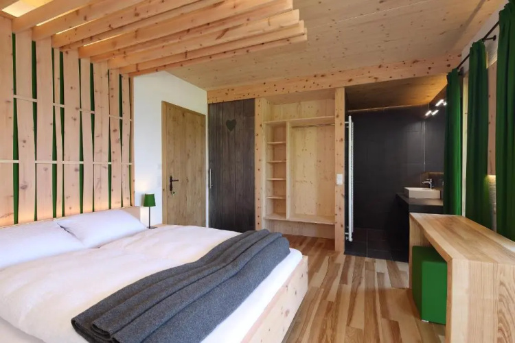 Chalet Alm Planai