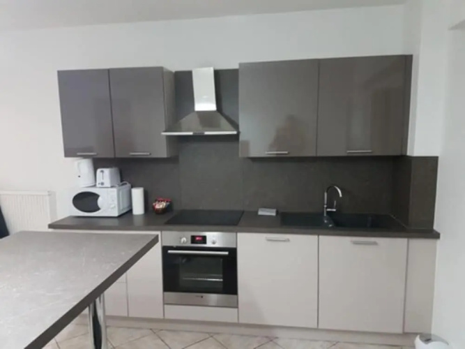 Executive Apartment near Basel 35