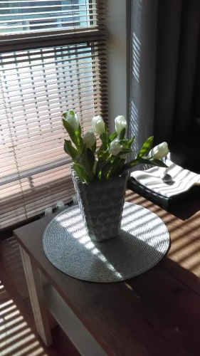 Apartament MORENA