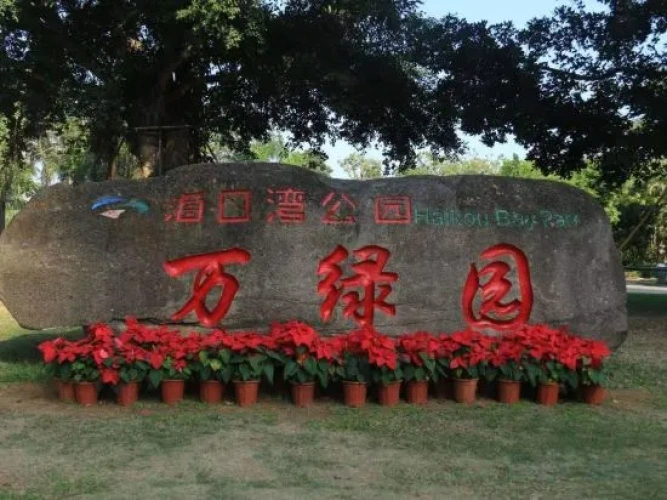 Outside