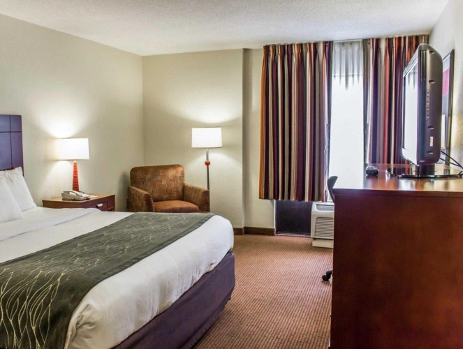 1 Bedroom Suite