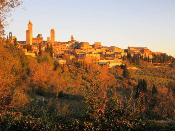 Il Colto