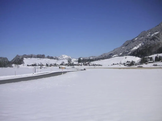 Standard Double room with mountain view
