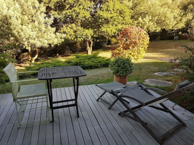 Standard Double room with garden view
