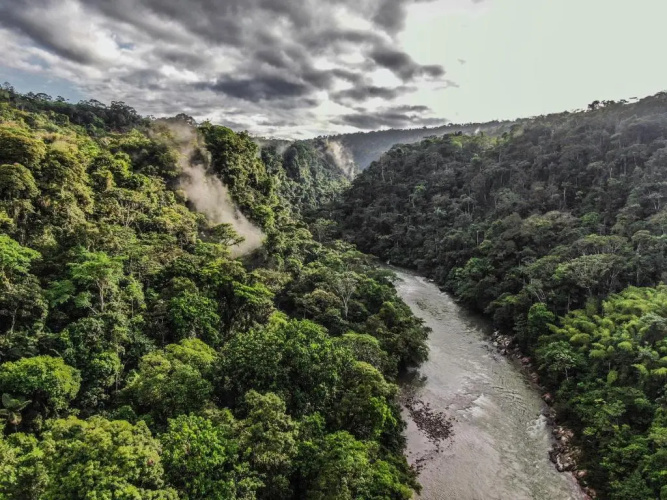 Playa Selva Lodge