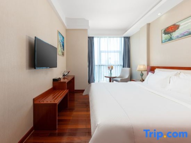 Business Double room with city view