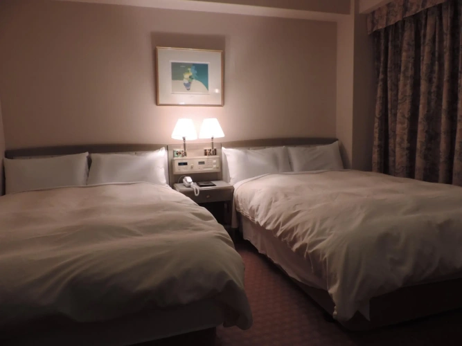 Deluxe Twin room