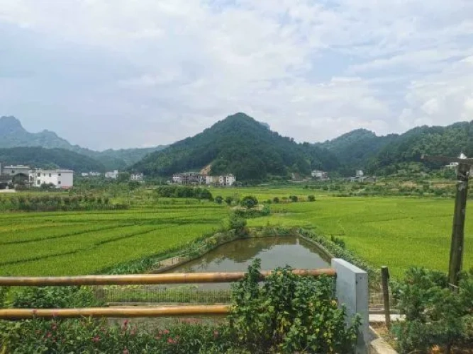 Outside