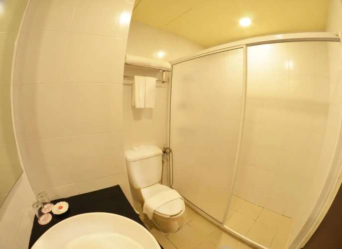 Standard Triple room with city view