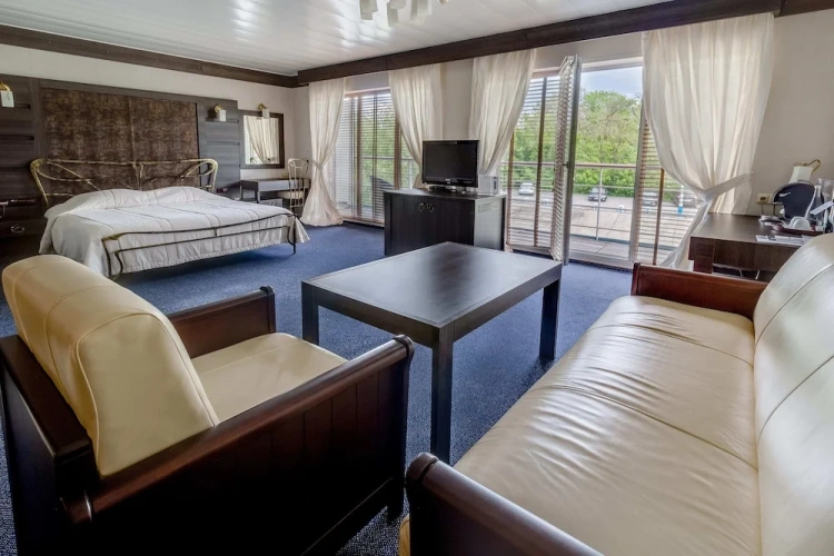 Deluxe room with balcony and with park view