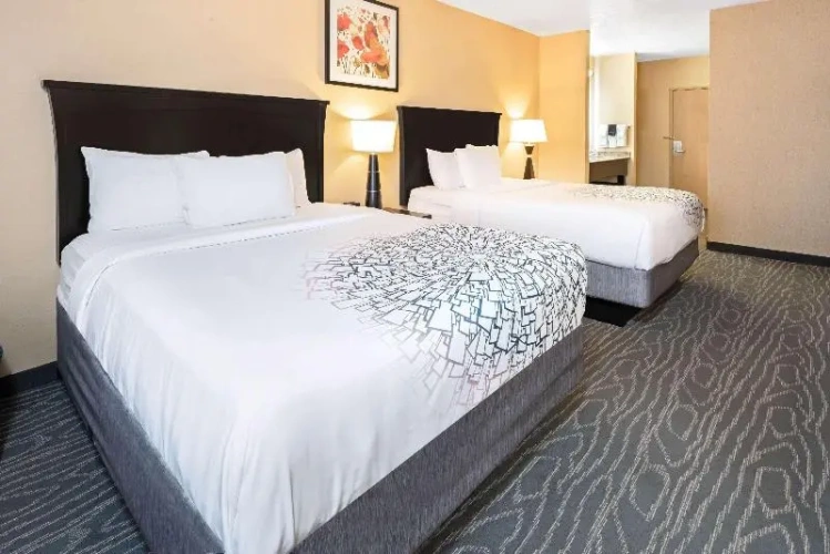 Standard room with mountain view