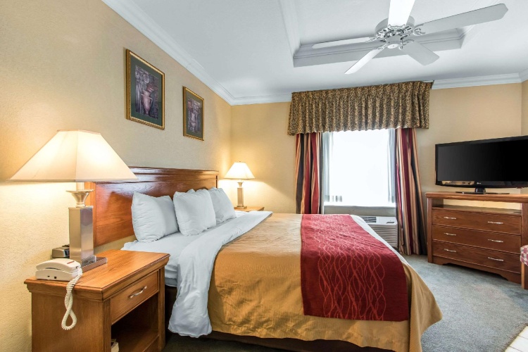 1 Bedroom Suite
