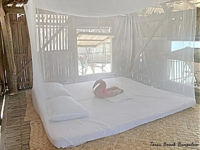 Standard Double room beachfront