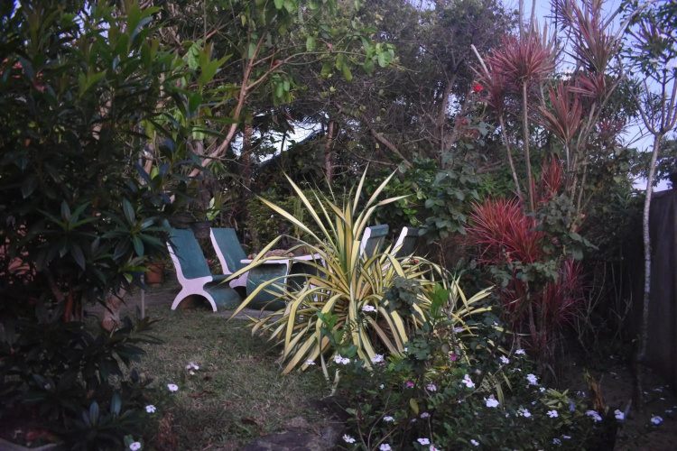 villa 729