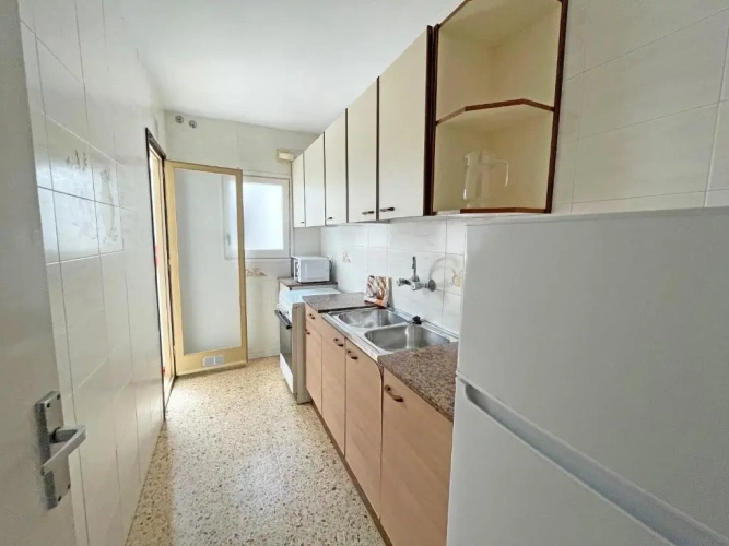 1 Bedroom Quadruple Apartment