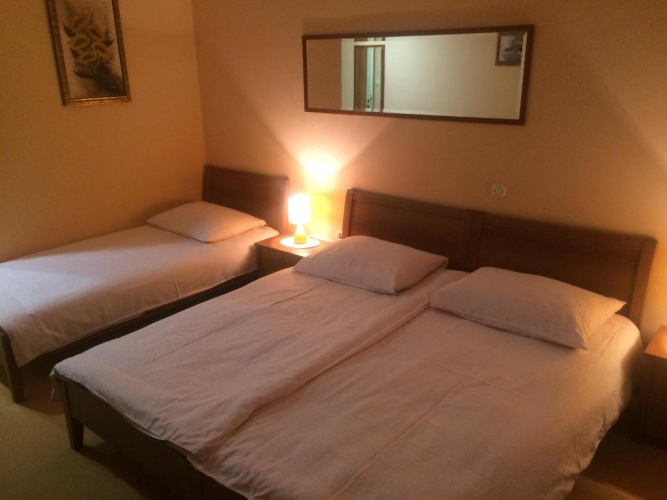 Standard Double room with balcony and with view