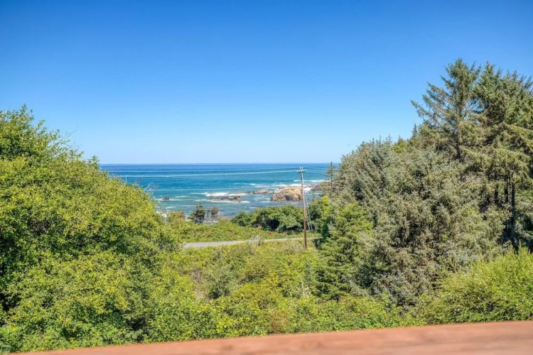 Whale Watch Lookout