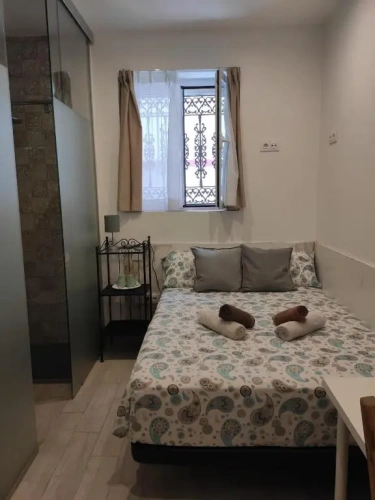 Economy Double Basement room
