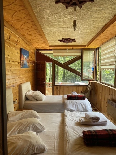 Standard Triple Family room with mountain view