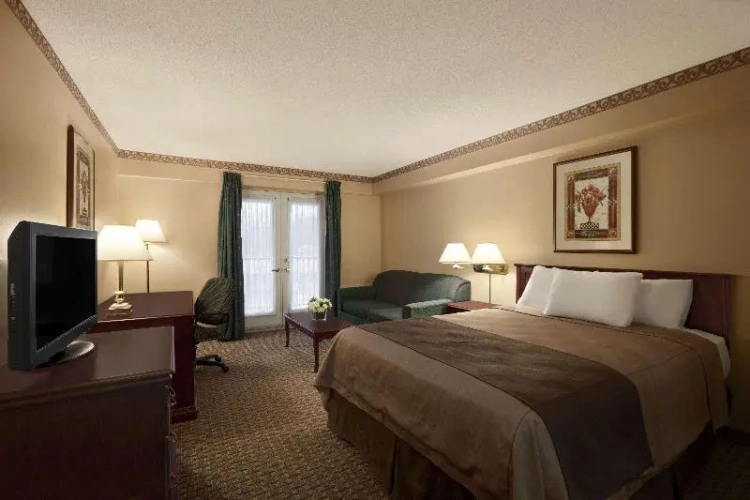 Standard Double room with park view