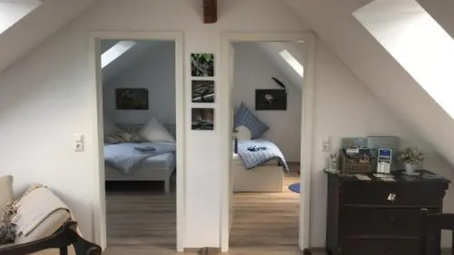 Elb Nest