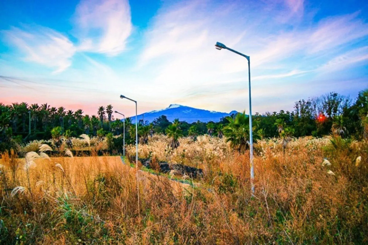 Seoguipo Dongsangilmong Pension