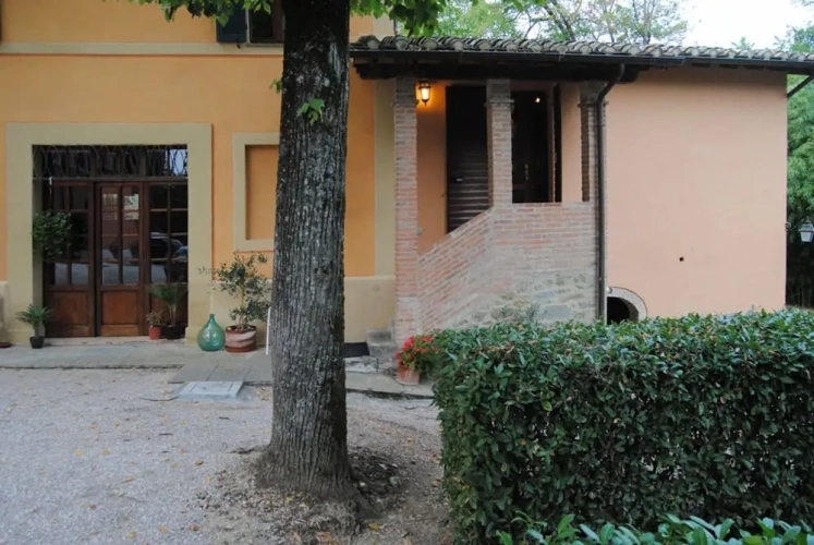 1 Bedroom Basement Cottage