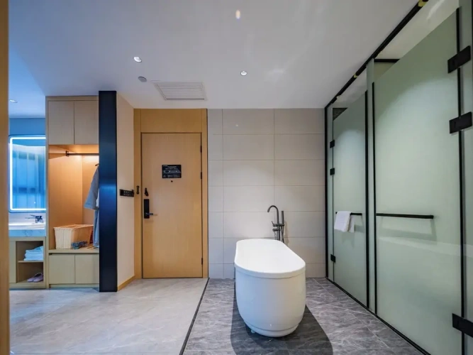 Business Double room with mountain view