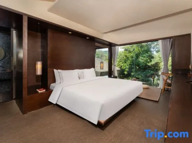 Standard Double room with mountain view