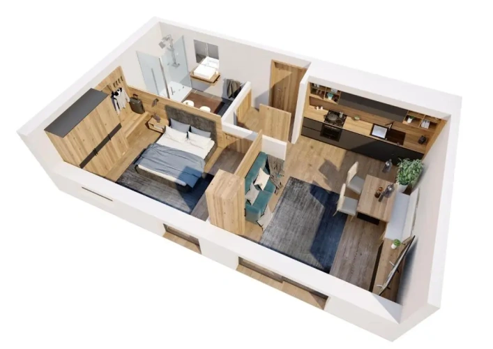 1 Bedroom Apartment