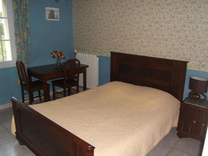 Standard Double room with garden view