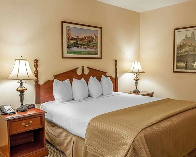 Double Suite