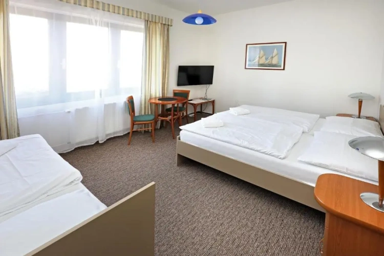 Standard Double room with lake view