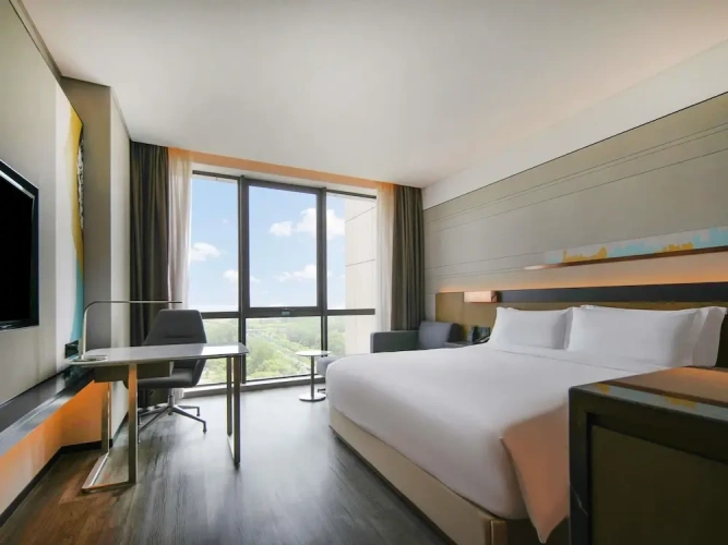 Deluxe Double room with city view