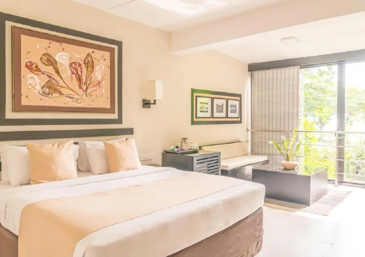 Deluxe Single room