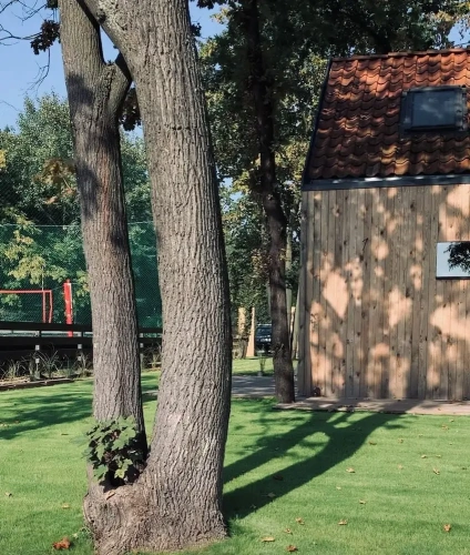 1 Bedroom Superior Chalet with garden view