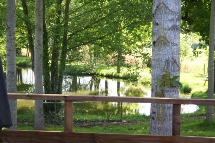 Standard Double room with lake view