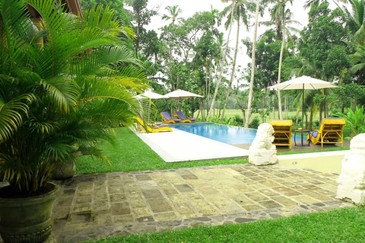 1 Bedroom Deluxe Double room with pool view