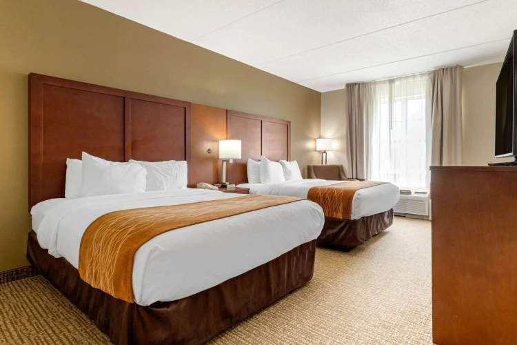 Standard Quadruple room