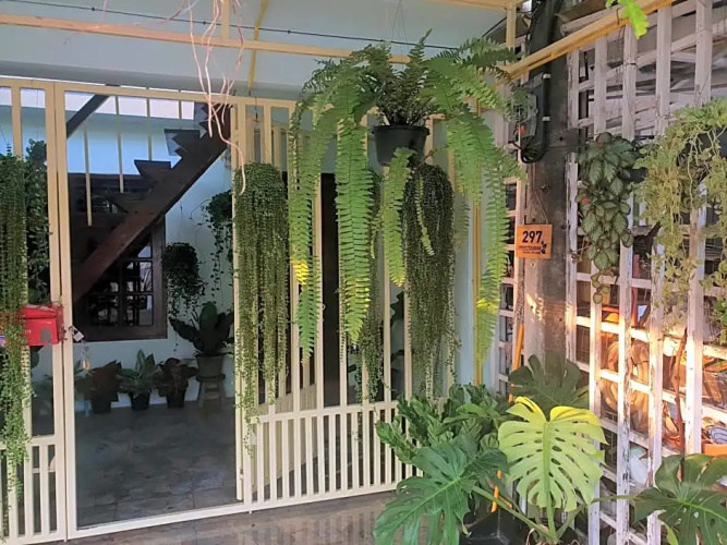 297 Nature Residence