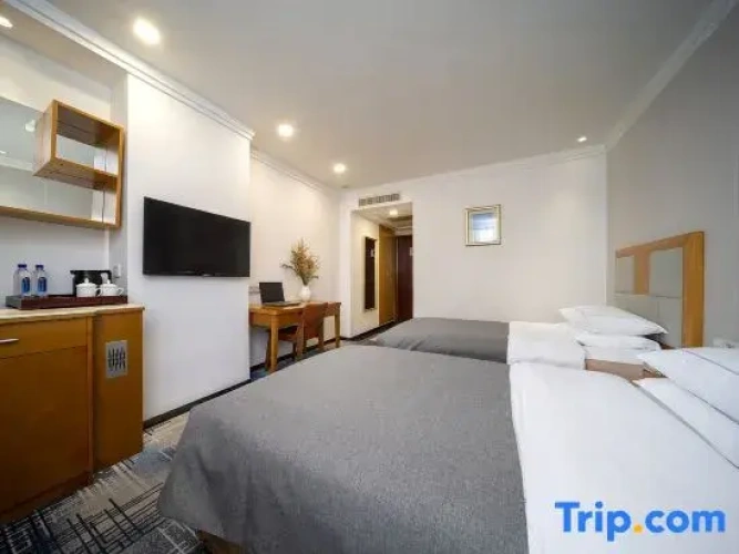 Standard Twin room with view