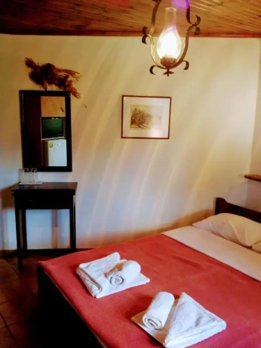 Standard Double room with mountain view