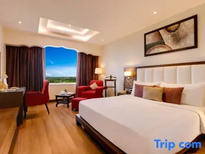 Superior Double room with city view