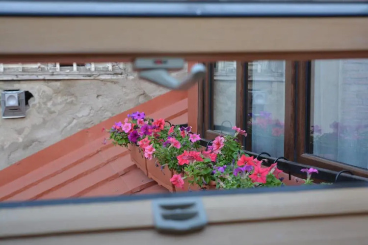 Фотография номера гостиницы Nicolas