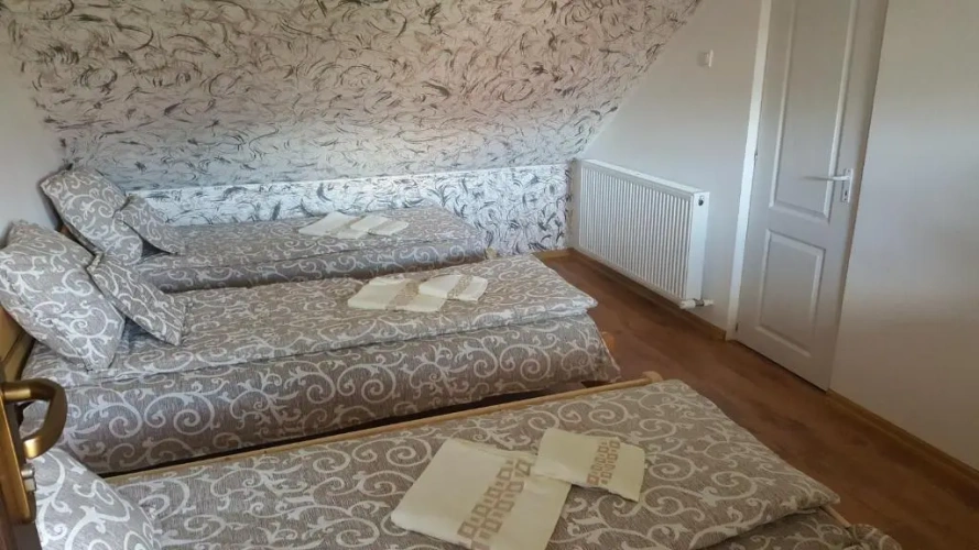 Standard Twin room with balcony and with view