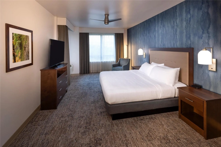 1 Bedroom Suite