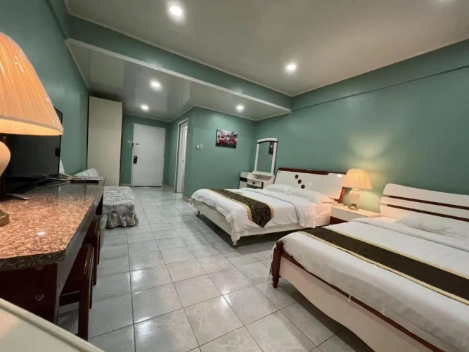 Standard Twin room with view