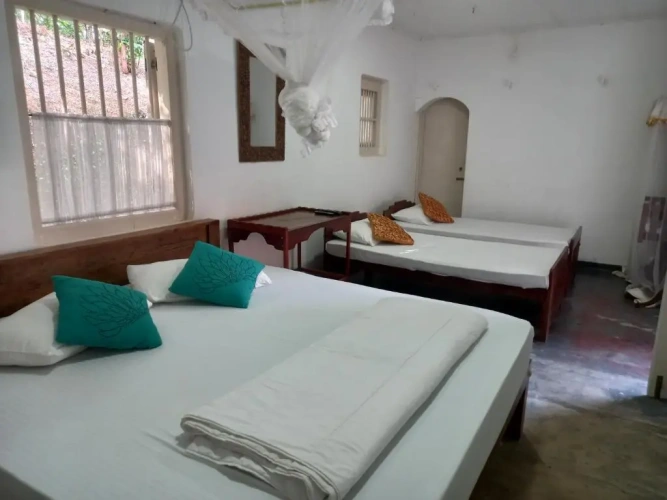 2 Bedrooms Bungalow