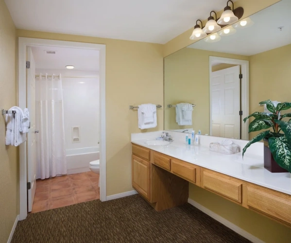 1 Bedroom Standard room