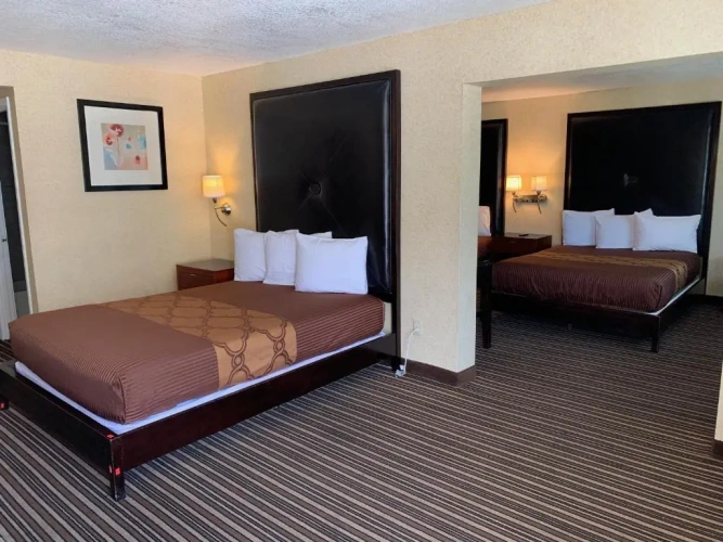 Double Suite